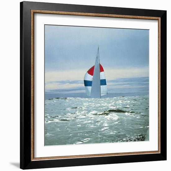 The Sailboat Nefertiti Competing in the America's Cup Trials-George Silk-Framed Photographic Print