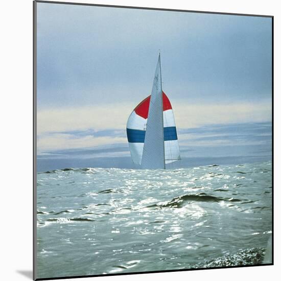 The Sailboat Nefertiti Competing in the America's Cup Trials-George Silk-Mounted Photographic Print