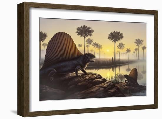 The Sailed-Back Dimetrodon Sunbathes in a Primordial Swamp-null-Framed Art Print