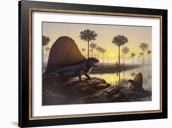 The Sailed-Back Dimetrodon Sunbathes in a Primordial Swamp-null-Framed Art Print