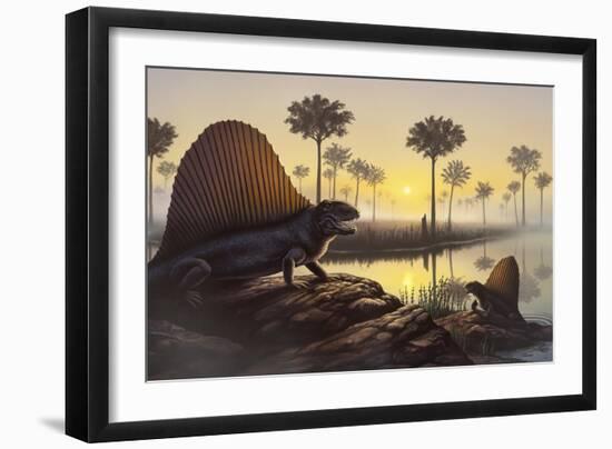 The Sailed-Back Dimetrodon Sunbathes in a Primordial Swamp-null-Framed Art Print