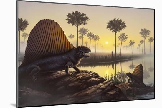 The Sailed-Back Dimetrodon Sunbathes in a Primordial Swamp-null-Mounted Art Print