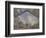 The Saint-Lazare Station, 1877-Claude Monet-Framed Art Print