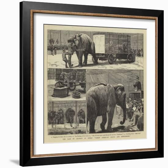 The Sale by Auction of Myers' Great American Circus and Hippodrome-John Charles Dollman-Framed Giclee Print