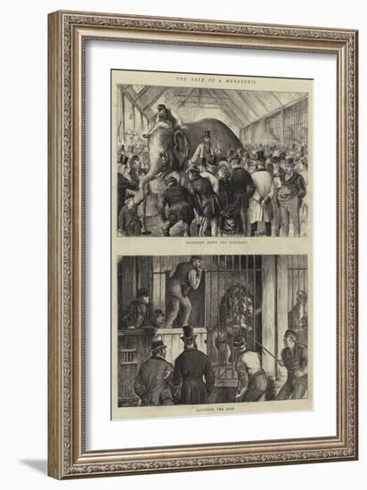 The Sale of a Menagerie-William Ralston-Framed Giclee Print