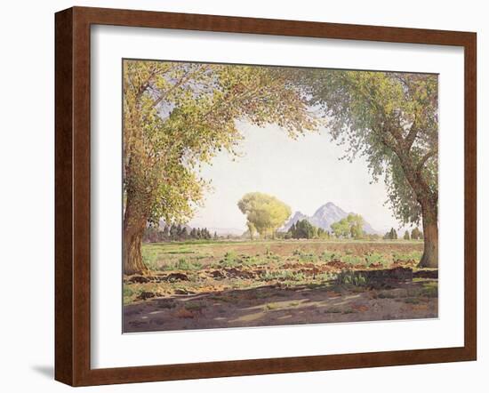 The Salt River Valley-Gunnar Widforss-Framed Giclee Print