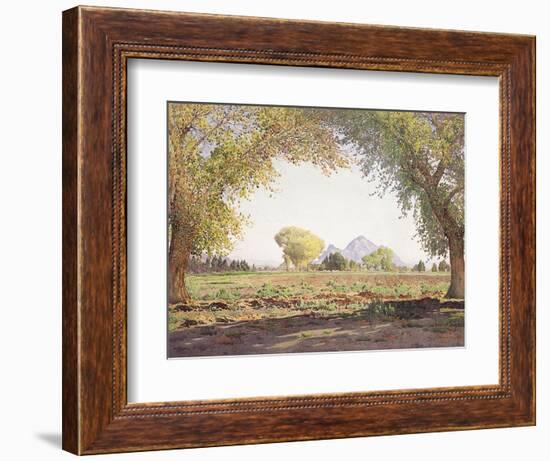 The Salt River Valley-Gunnar Widforss-Framed Giclee Print