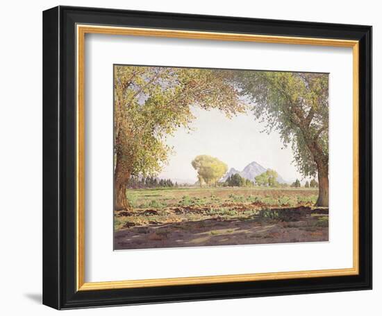 The Salt River Valley-Gunnar Widforss-Framed Giclee Print