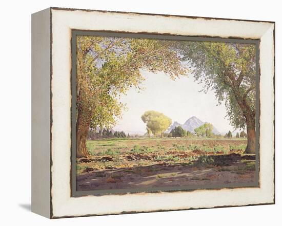 The Salt River Valley-Gunnar Widforss-Framed Premier Image Canvas