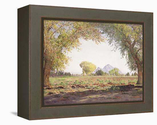 The Salt River Valley-Gunnar Widforss-Framed Premier Image Canvas