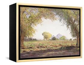 The Salt River Valley-Gunnar Widforss-Framed Premier Image Canvas