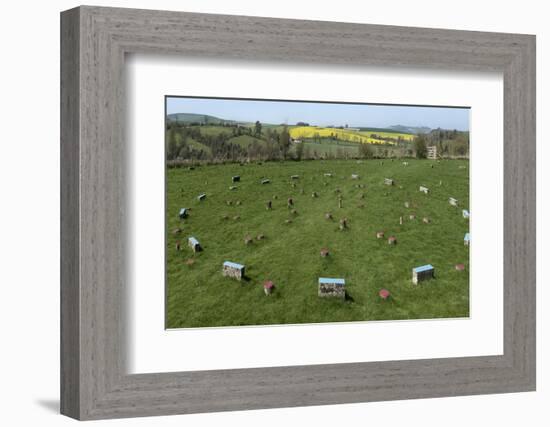 The Sanctuary, Ancient Ritual Site from About 2500Bc, Avebury, Wiltshire, England, United Kingdom-Rolf Richardson-Framed Photographic Print