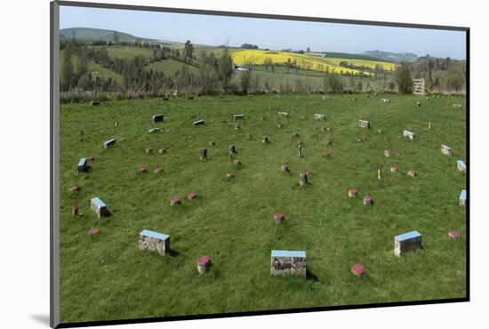 The Sanctuary, Ancient Ritual Site from About 2500Bc, Avebury, Wiltshire, England, United Kingdom-Rolf Richardson-Mounted Photographic Print