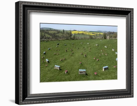 The Sanctuary, Ancient Ritual Site from About 2500Bc, Avebury, Wiltshire, England, United Kingdom-Rolf Richardson-Framed Photographic Print