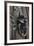 The Sanctuary Knocker-Stuart Forster-Framed Photographic Print