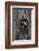 The Sanctuary Knocker-Stuart Forster-Framed Photographic Print