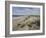 The Sand Dunes at Walberswick, 2008-John Sutton-Framed Giclee Print