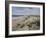 The Sand Dunes at Walberswick, 2008-John Sutton-Framed Giclee Print