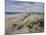 The Sand Dunes at Walberswick, 2008-John Sutton-Mounted Giclee Print
