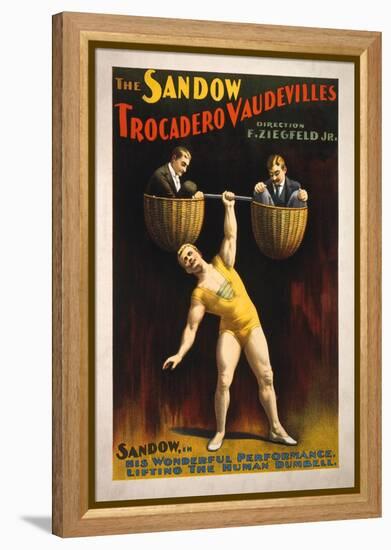 The Sandow Trocadero Vaudevilles Weightlifting Poster-Lantern Press-Framed Stretched Canvas