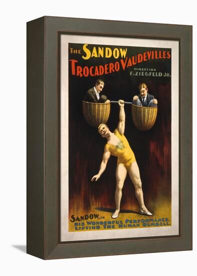 The Sandow Trocadero Vaudevilles Weightlifting Poster-Lantern Press-Framed Stretched Canvas