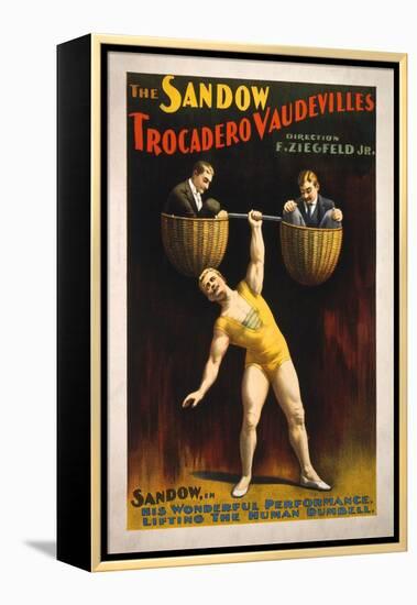 The Sandow Trocadero Vaudevilles Weightlifting Poster-Lantern Press-Framed Stretched Canvas