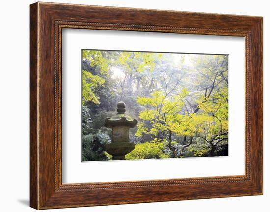The Sankeien Garden, Yokohama, Tokyo, Japan, Asia-David Pickford-Framed Photographic Print