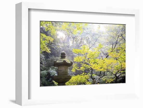 The Sankeien Garden, Yokohama, Tokyo, Japan, Asia-David Pickford-Framed Photographic Print