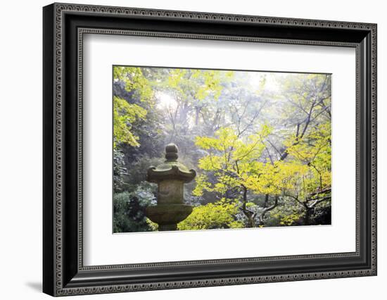 The Sankeien Garden, Yokohama, Tokyo, Japan, Asia-David Pickford-Framed Photographic Print