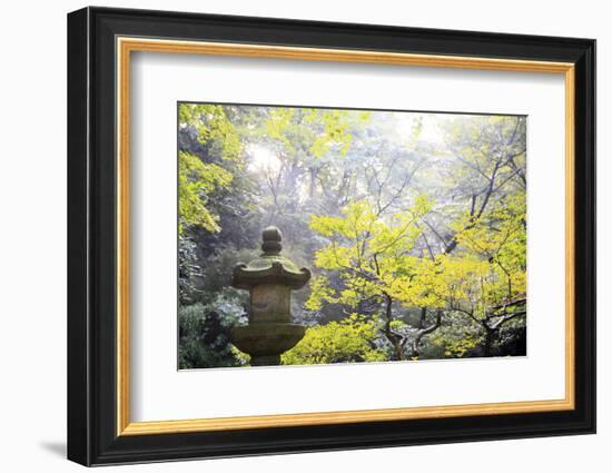 The Sankeien Garden, Yokohama, Tokyo, Japan, Asia-David Pickford-Framed Photographic Print