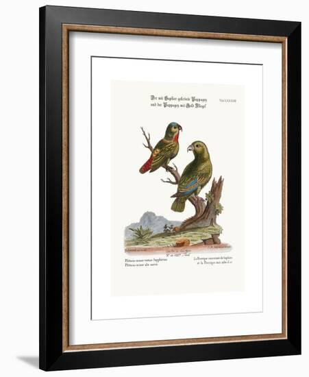 The Sapphire-Crowned Parrakeet, and the Golden-Winged Parrakeet, 1749-73-George Edwards-Framed Giclee Print