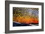 The Scales of a Spawning Male Brook Trout in Southern Patagonia, Argentina-Matt Jones-Framed Photographic Print