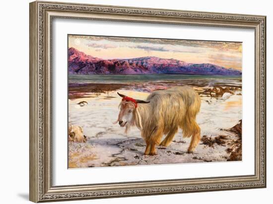 The Scapegoat, 1854 (Oil on Canvas)-William Holman Hunt-Framed Giclee Print