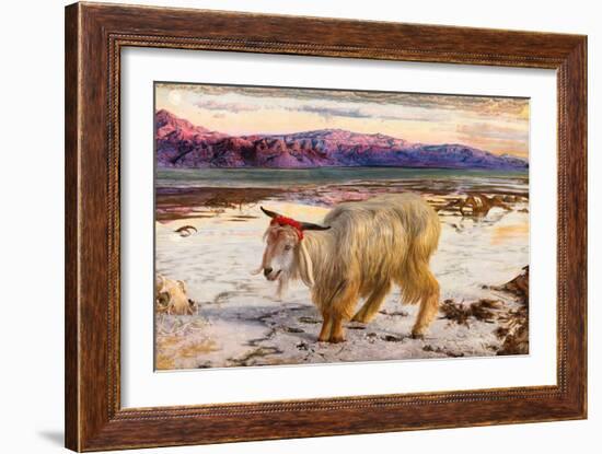 The Scapegoat, 1854 (Oil on Canvas)-William Holman Hunt-Framed Giclee Print