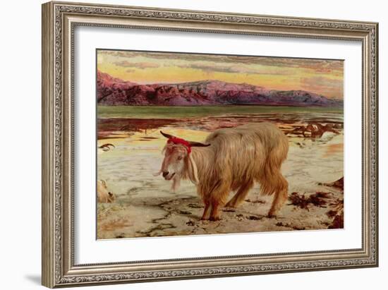 The Scapegoat, 1854-William Holman Hunt-Framed Giclee Print