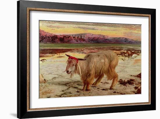 The Scapegoat, 1854-William Holman Hunt-Framed Giclee Print