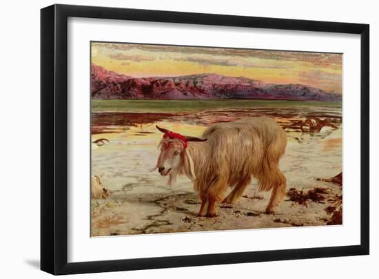 The Scapegoat, 1854-William Holman Hunt-Framed Giclee Print