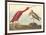 The Scarlet Ibis-John James Audubon-Framed Premium Giclee Print