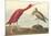 The Scarlet Ibis-John James Audubon-Mounted Premium Giclee Print