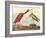 The Scarlet Ibis-James Audubon-Framed Giclee Print