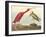 The Scarlet Ibis-James Audubon-Framed Giclee Print