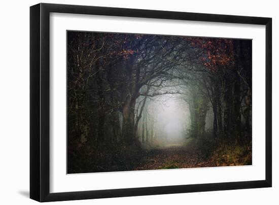 The scary forest-Phillipe Manguin-Framed Photographic Print