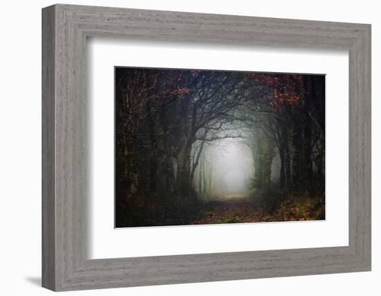 The scary forest-Phillipe Manguin-Framed Photographic Print