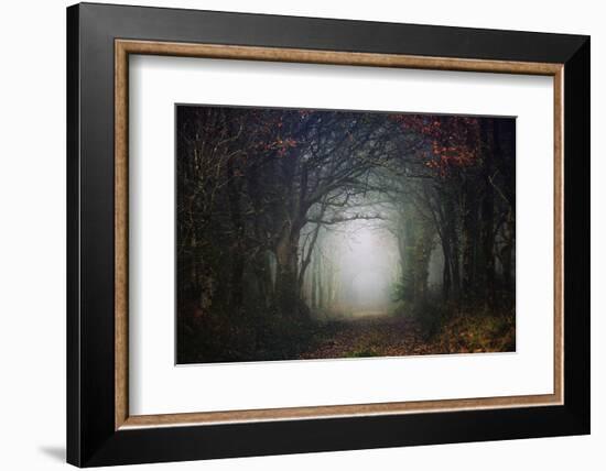 The scary forest-Phillipe Manguin-Framed Photographic Print