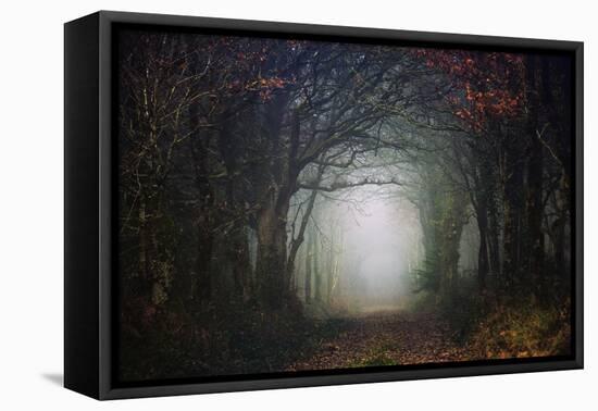 The scary forest-Phillipe Manguin-Framed Premier Image Canvas