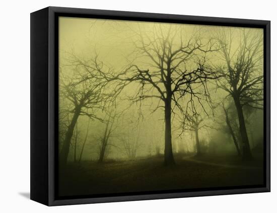 The Scary Place-Philippe Manguin-Framed Premier Image Canvas