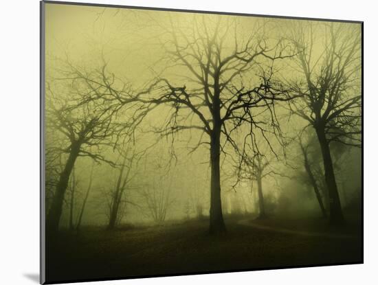 The Scary Place-Philippe Manguin-Mounted Photographic Print