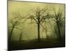 The Scary Place-Philippe Manguin-Mounted Photographic Print