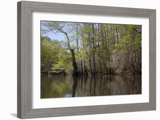 The Scenic Delta-Carol Highsmith-Framed Art Print