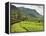 The Scenic Train Ride Through the Central Highlands, with its Mountains and Tea Plantations, Near N-Rob Francis-Framed Premier Image Canvas